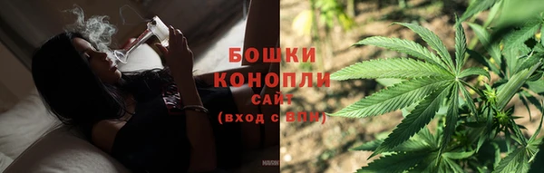 ГАЛЛЮЦИНОГЕННЫЕ ГРИБЫ Баксан