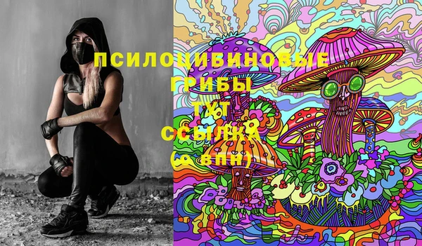 ГАЛЛЮЦИНОГЕННЫЕ ГРИБЫ Баксан