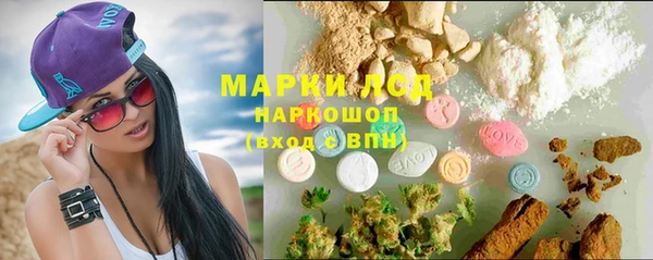 ГАЛЛЮЦИНОГЕННЫЕ ГРИБЫ Баксан