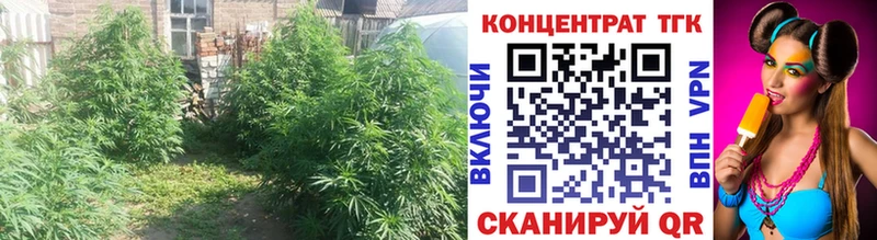 что такое наркотик  Иноземцево  ТГК вейп с тгк 